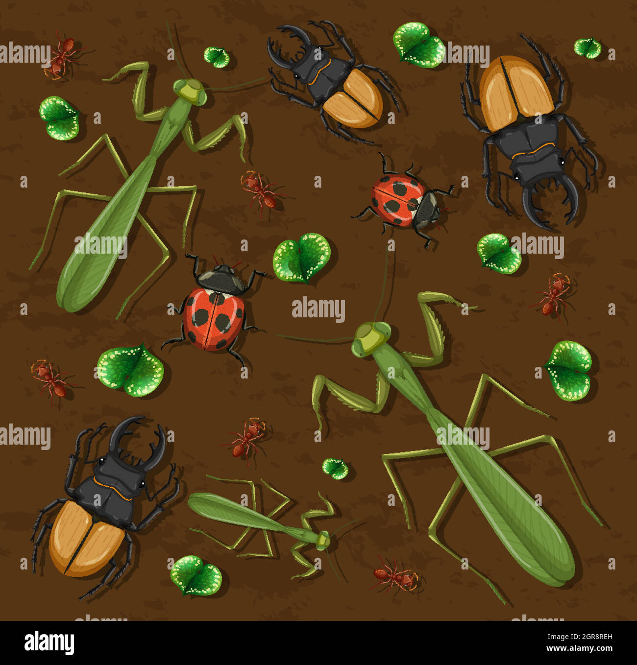 Set of different insects on wooden wallpaper background Stock Vector ...