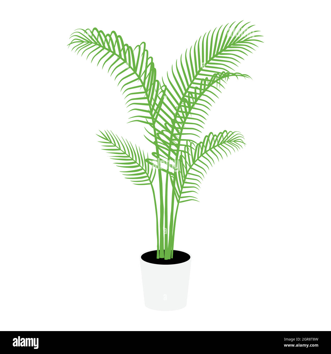 Palm tree plant in white pot isolated on white background. Vector Stock