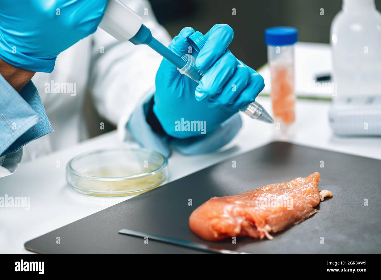 Antibiotics In Poultry Meat. Quality Control Expert Testing Chicken