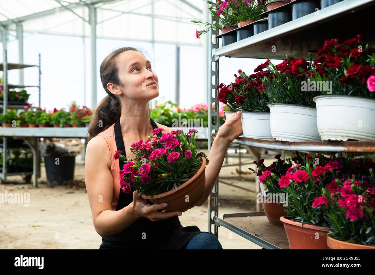 Female gardener demonstrating garden flowers in flowerpots Stock Photo