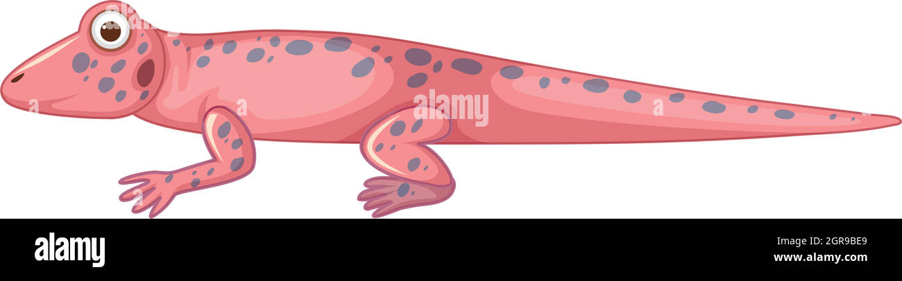 pink lizard white background Stock Vector