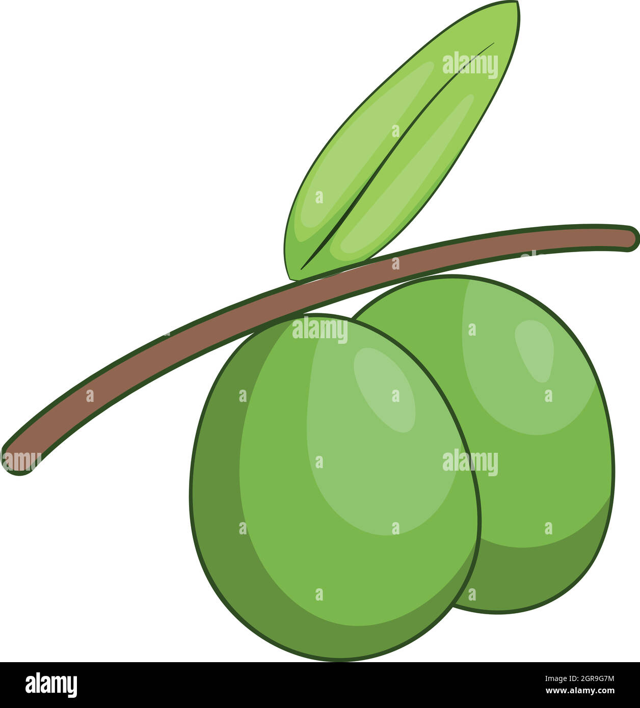 Spanish olives Stock Vector Images Alamy