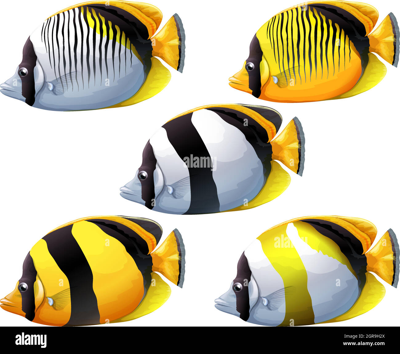 Five colourful fishes Stock Vector