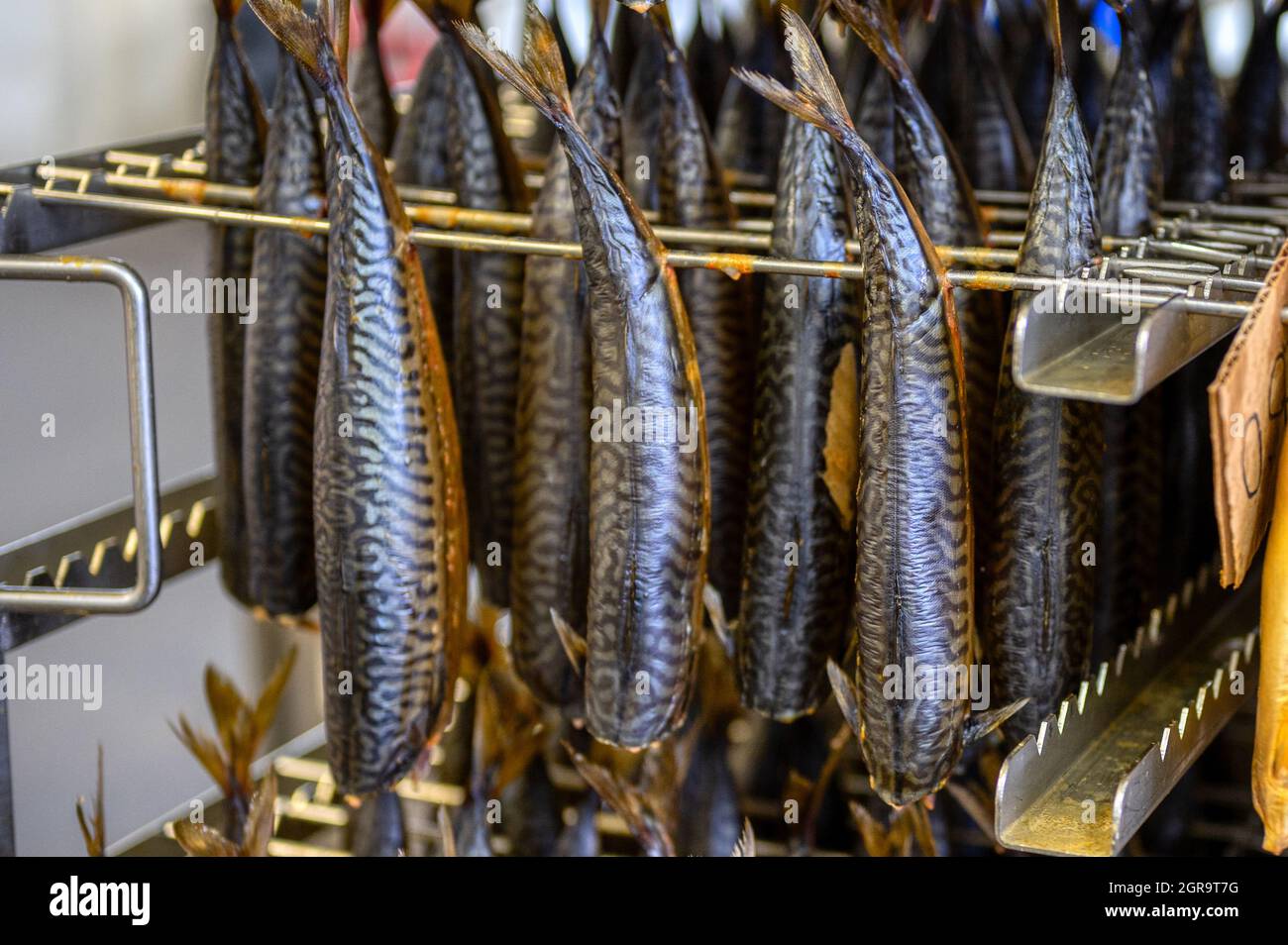 Fish smoking on plant hi-res stock photography and images - Alamy