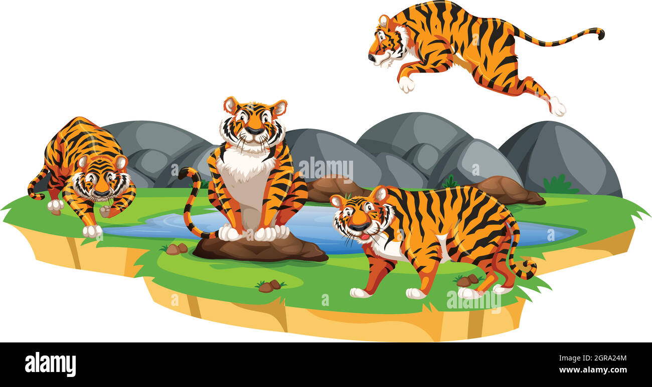 Isolated tiger in nature Stock Vector