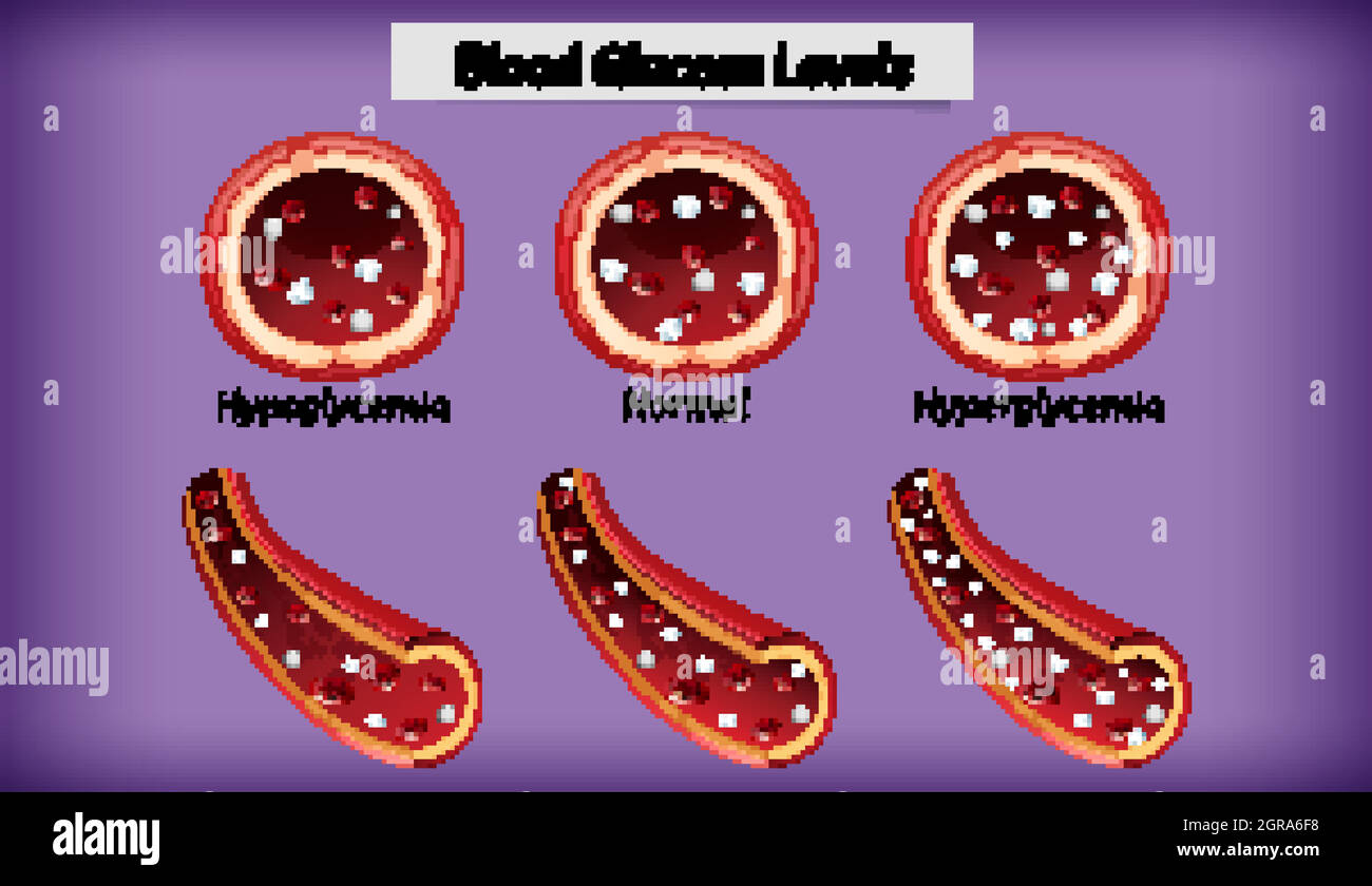 Medical blood glucose level Stock Vector Image & Art Alamy
