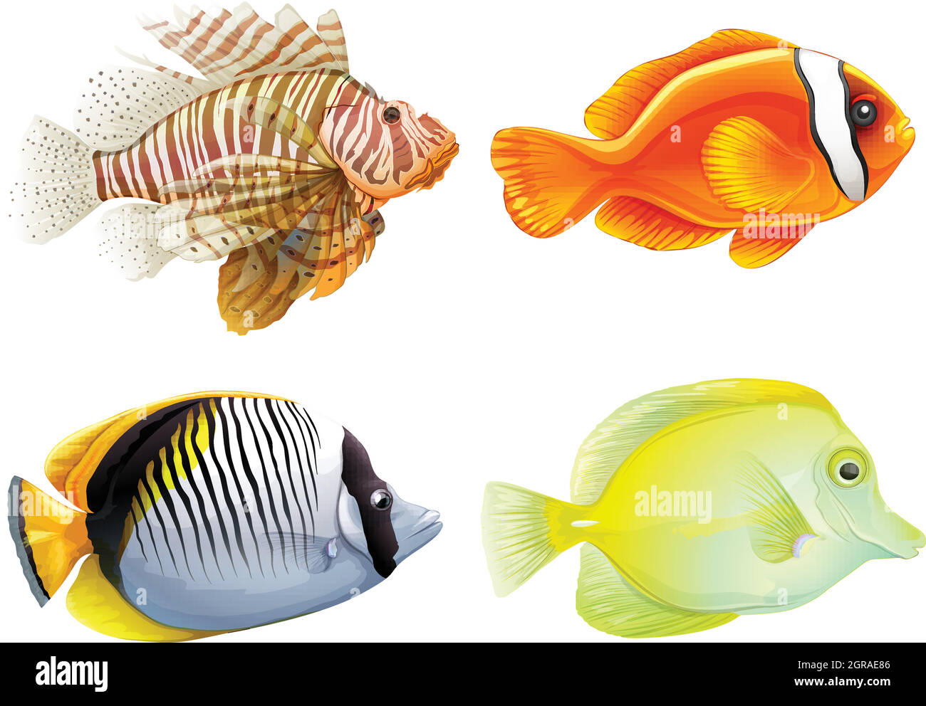 Four fishes Stock Vector