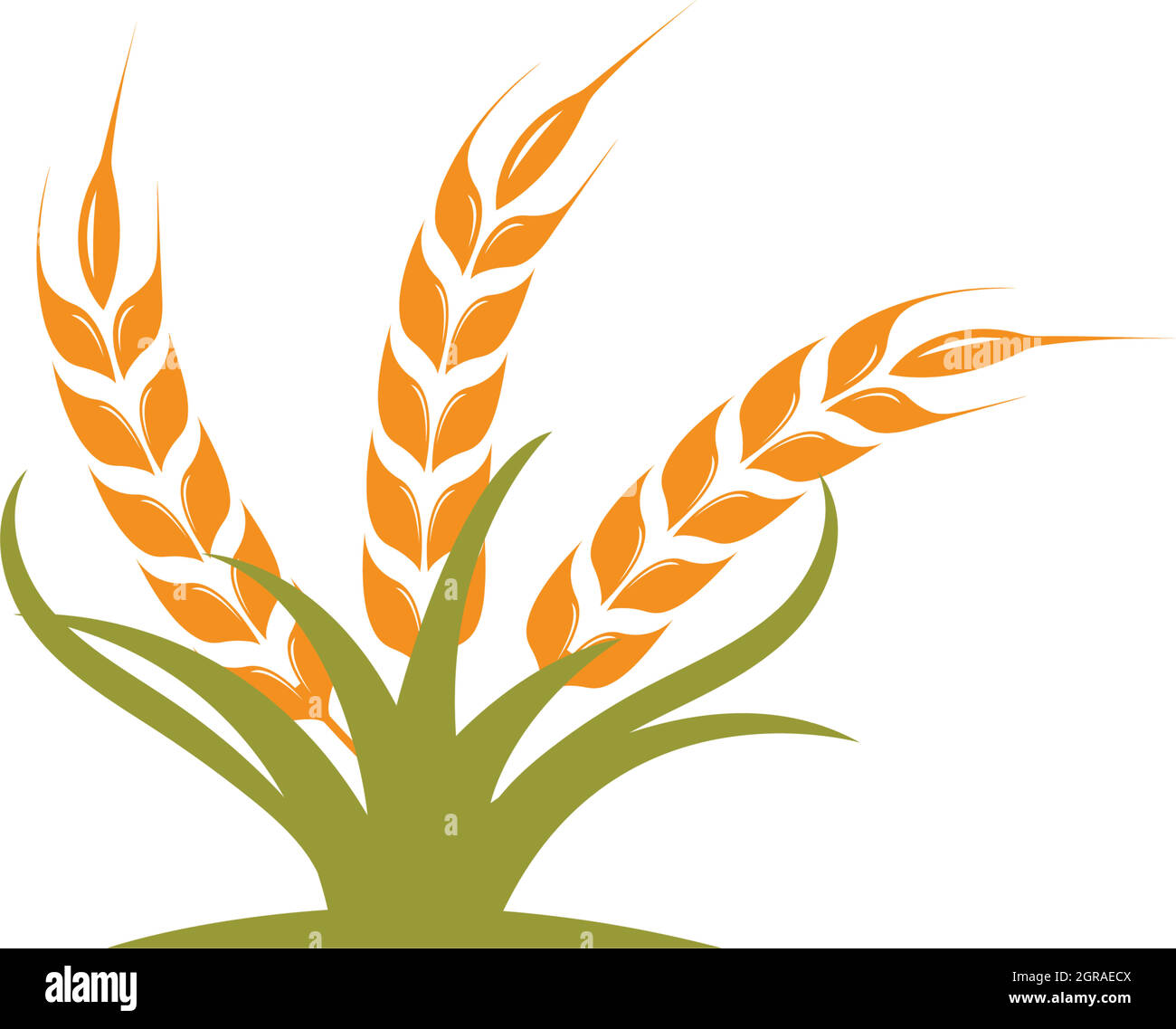 Agriculture wheat   vector icon illustration design Stock Vector