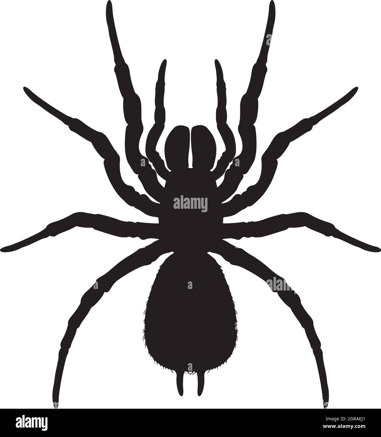 Silhouette of a spider Stock Vector