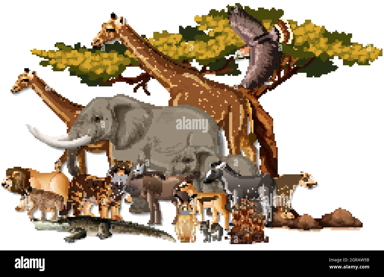 Group of wild African animals on white background Stock Vector Image ...
