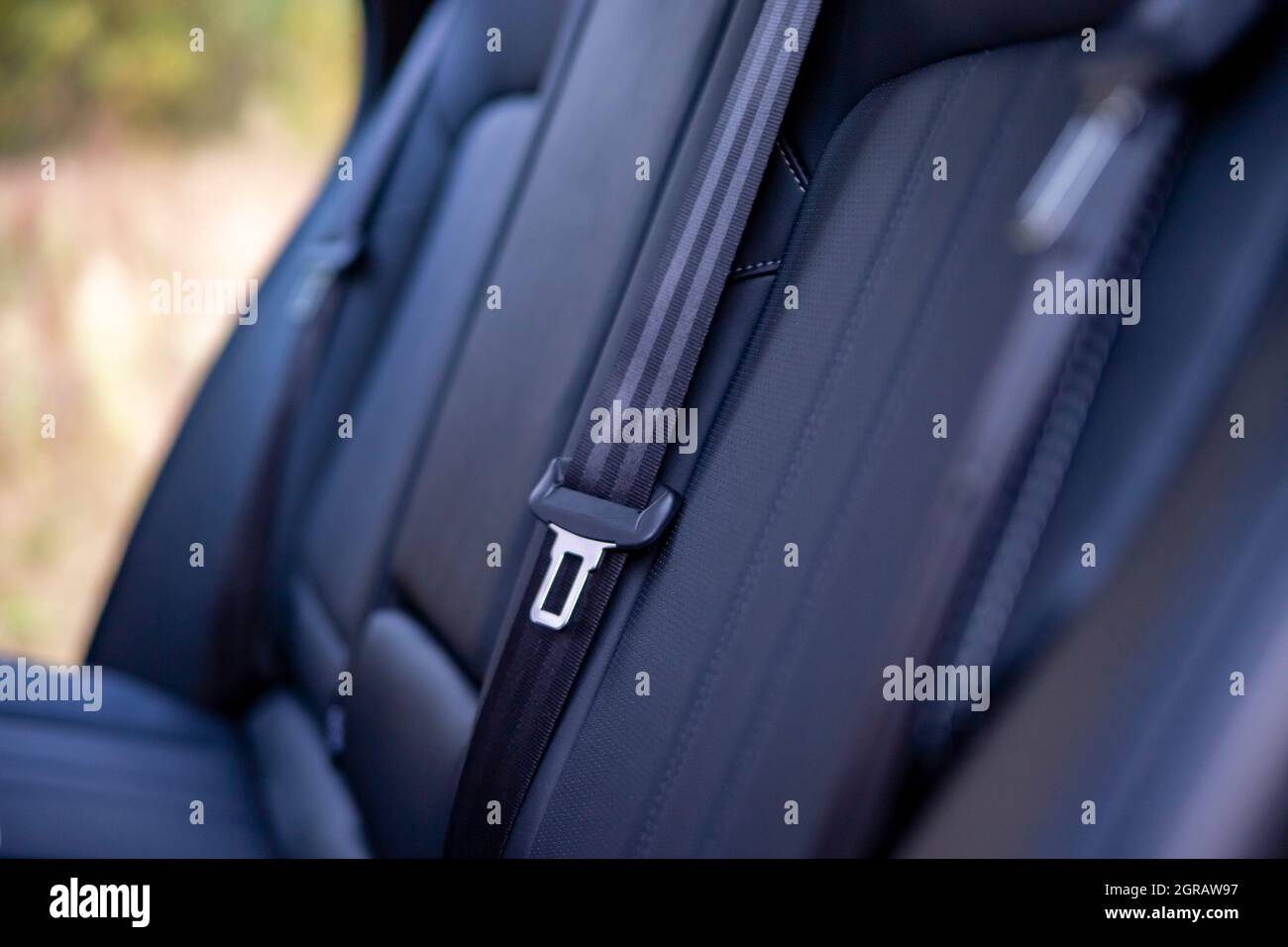 Passenger Seat Belts In The Back Seat Of A Modern Car. Close Up