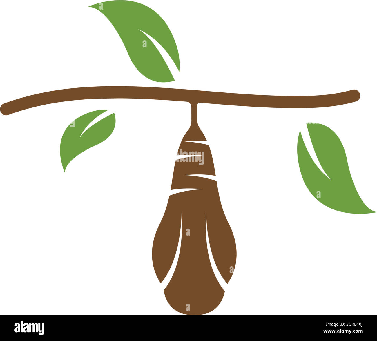 cocoon vector illustrtion design Stock Vector