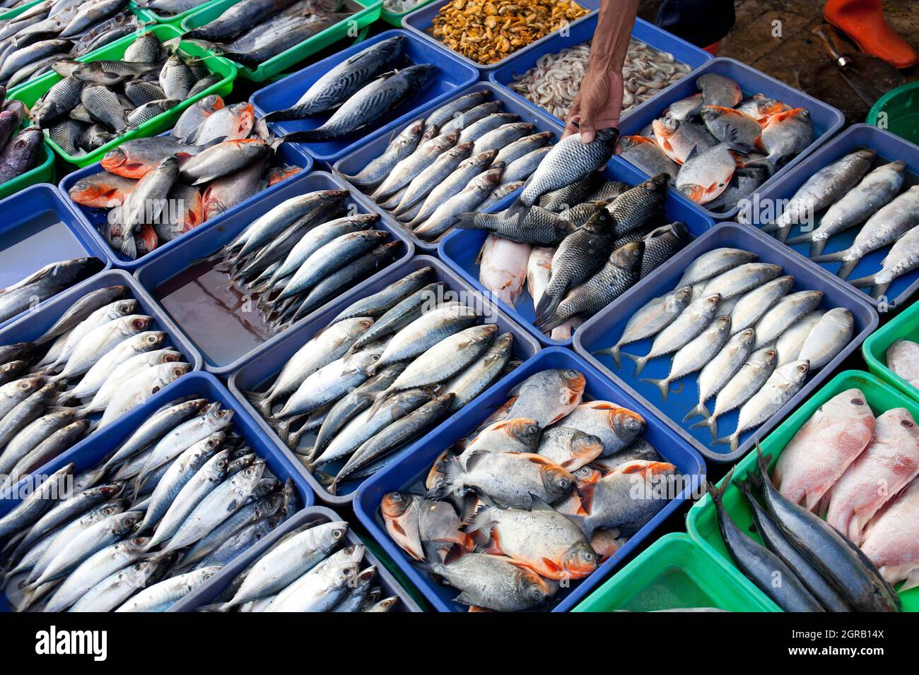 Jakarta fish market indonesia hires stock photography and images Alamy