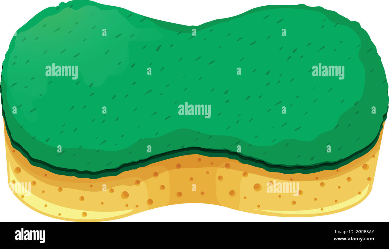 Sponge with two layers Stock Vector Image & Art Alamy