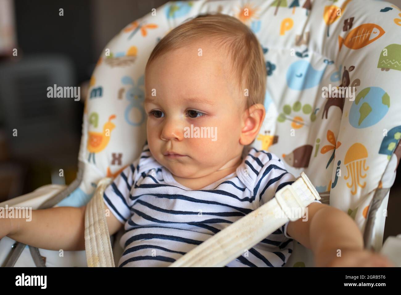 Adorable little baby sitting in high chair Stock Photo Alamy