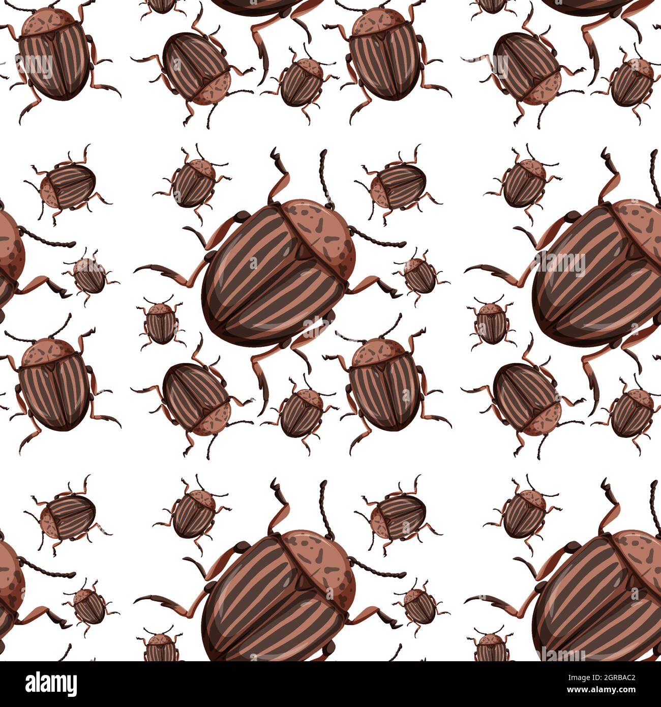 Beetle insect seamless background Stock Vector Image & Art - Alamy