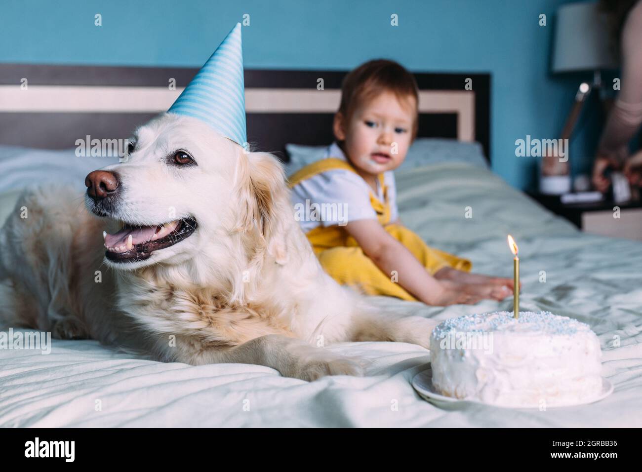 golden retriever cake