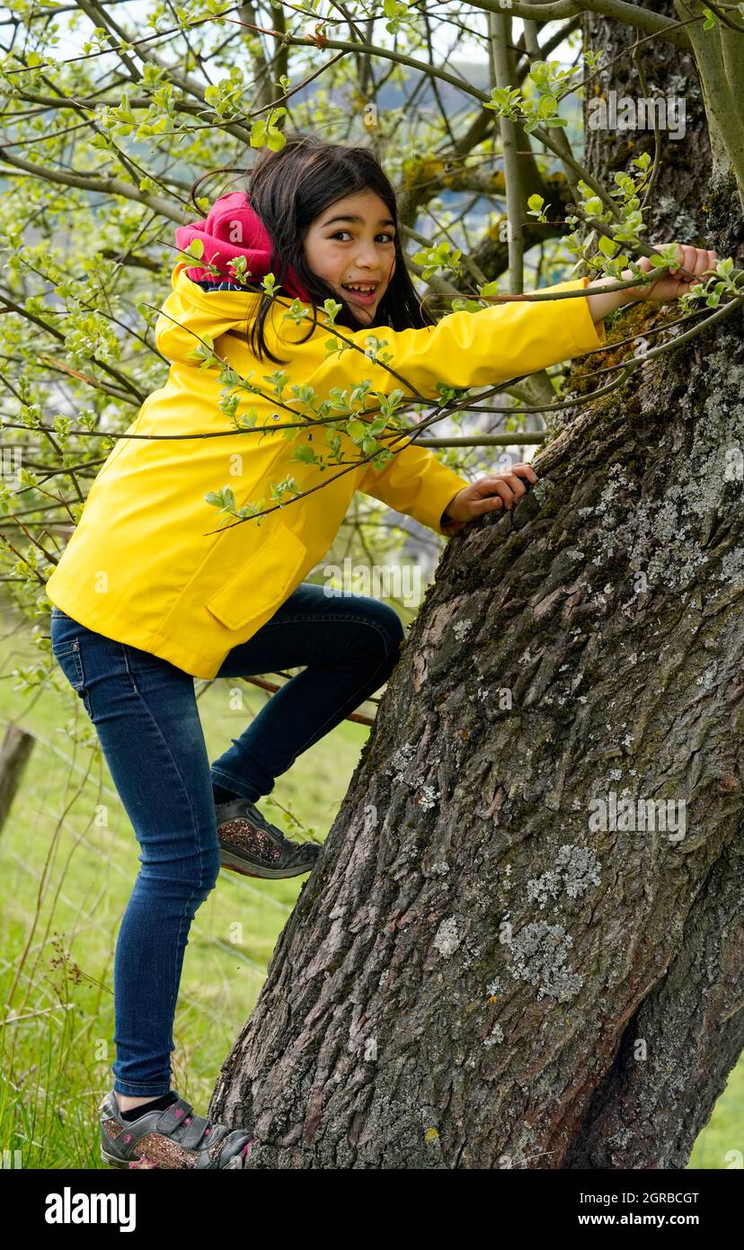Children Trying To Climb A Tree Stock Photo Alamy