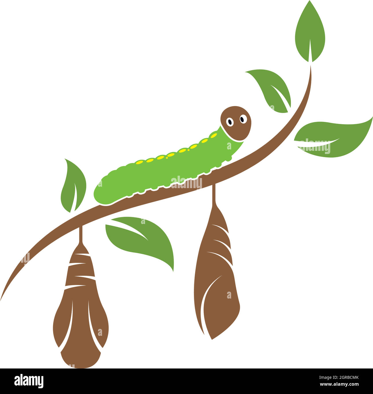 cocoon vector illustrtion design Stock Vector