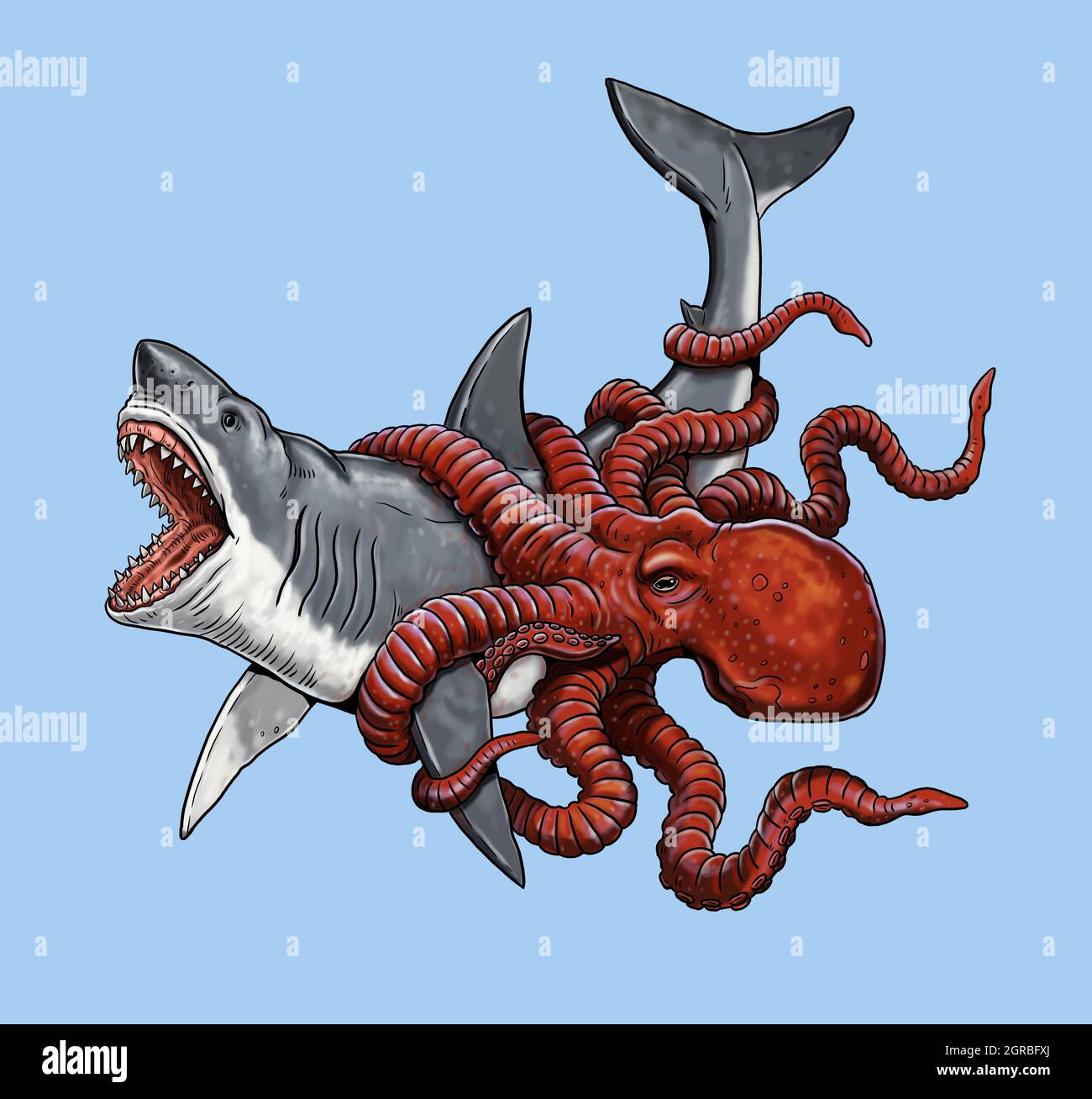 Giant octopus attacks a shark. Battle of the animals illustration Stock  Photo - Alamy