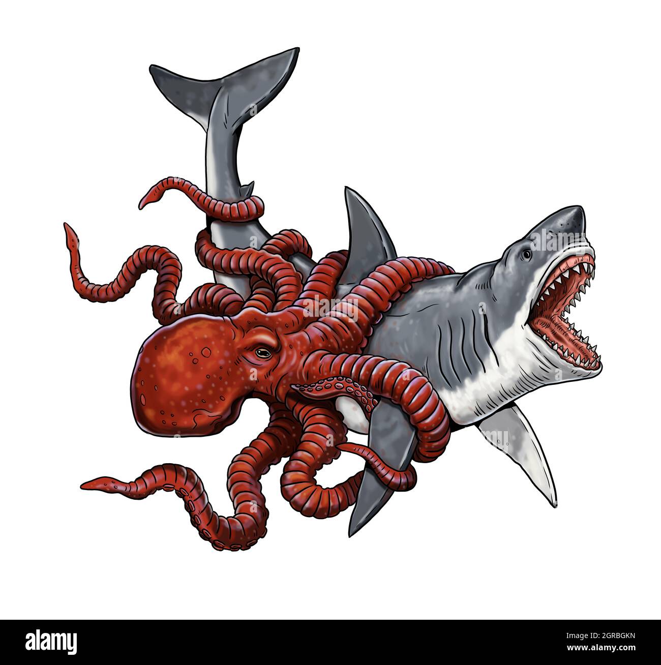 Giant octopus attacks a shark. Battle of the animals illustration. Stock Photo