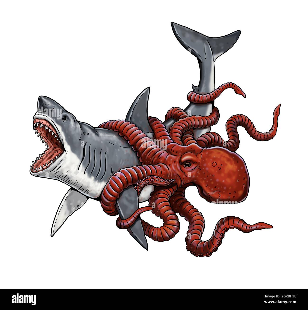 Giant octopus attacks a shark. Battle of the animals illustration. Stock Photo