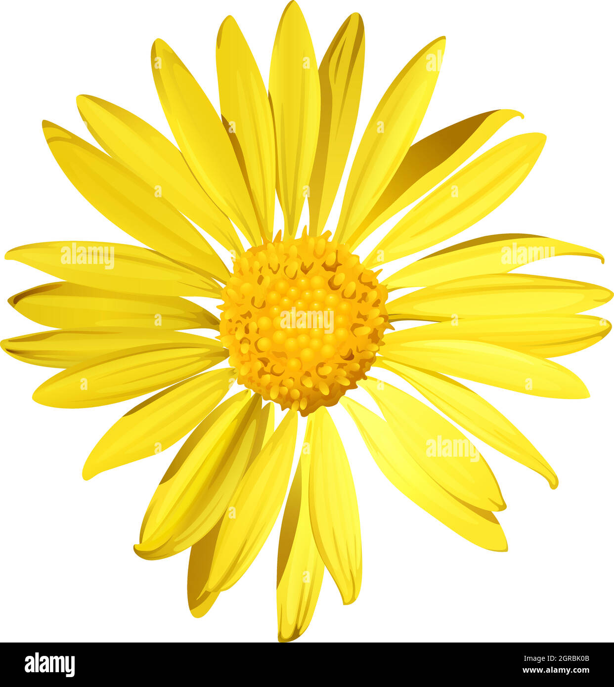 A sunflower Stock Vector