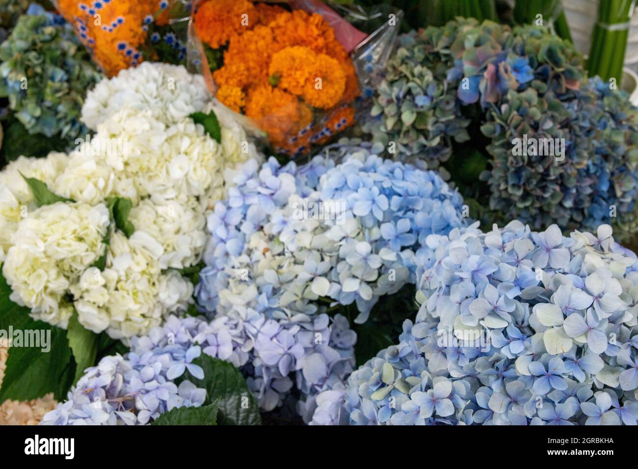 The Los Angeles Flower Market is a great place to go to buy flowers in Southern California Stock