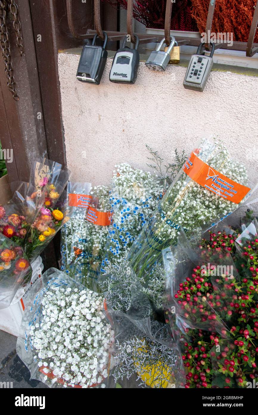 The Los Angeles Flower Market is a great place to go to buy flowers in Southern California Stock