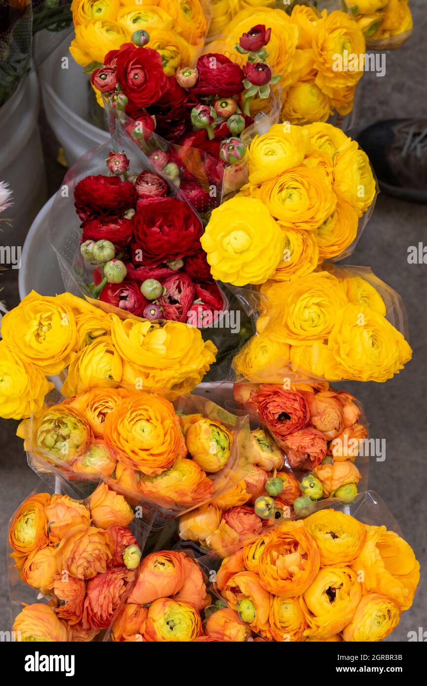 The Los Angeles Flower Market is a great place to go to buy flowers in
