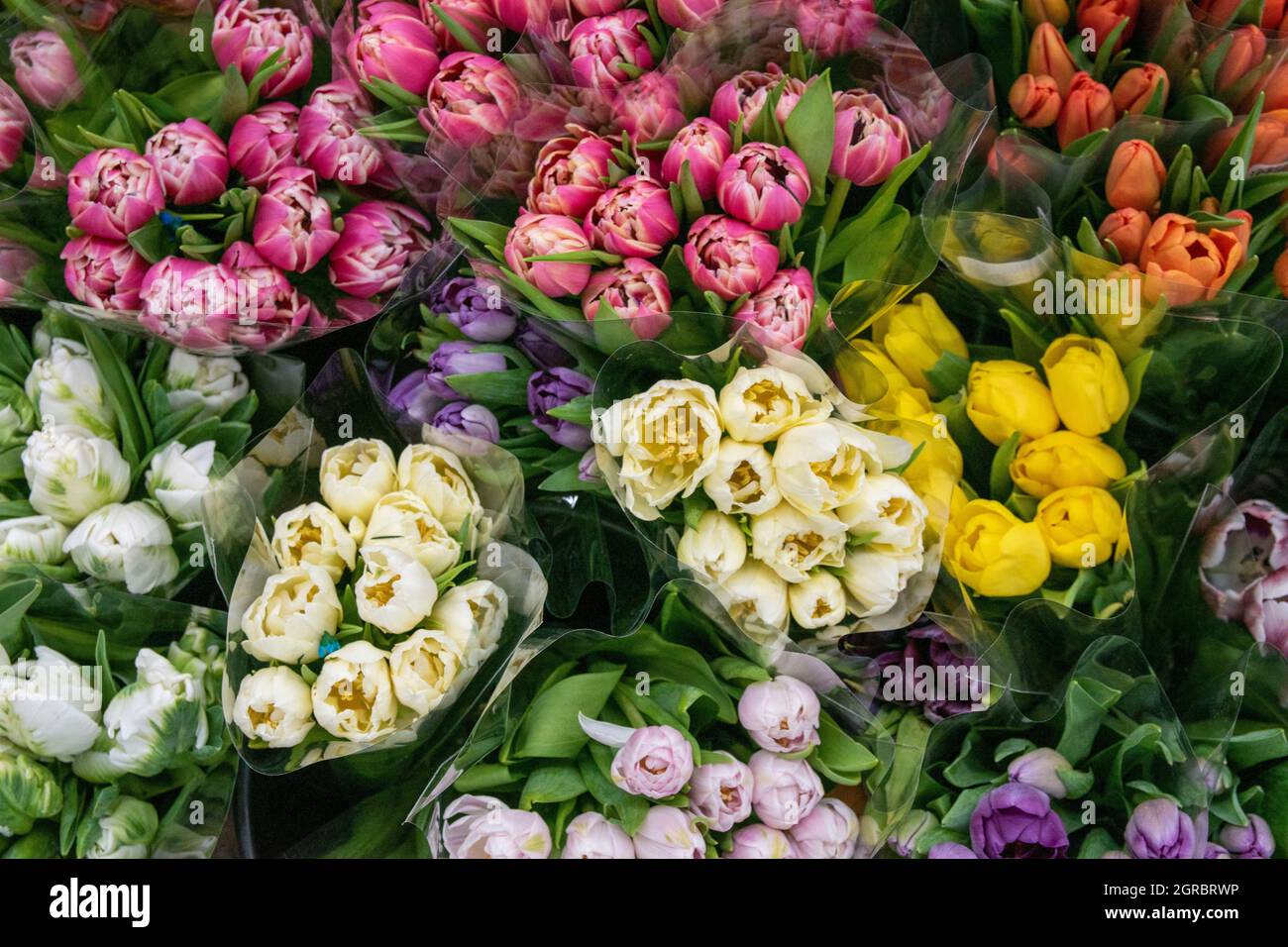 The Los Angeles Flower Market is a great place to go to buy flowers in