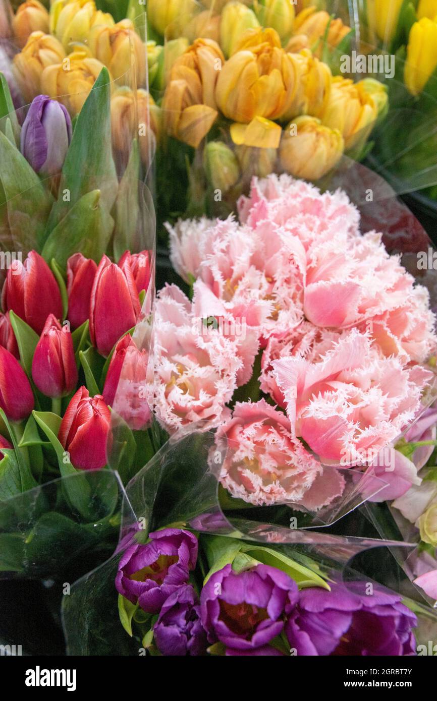 The Los Angeles Flower Market is a great place to go to buy flowers in