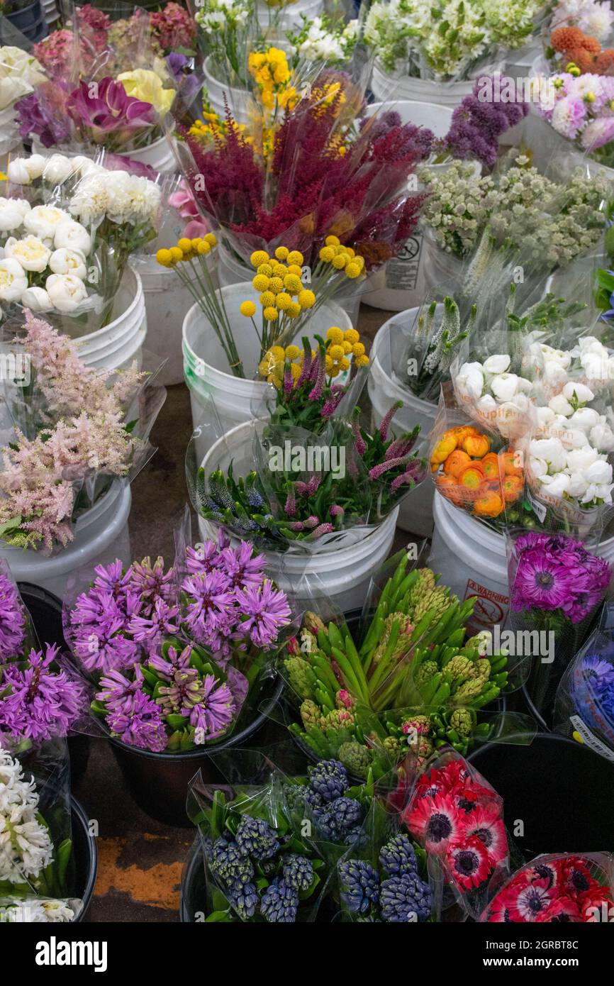 The Los Angeles Flower Market is a great place to go to buy flowers in