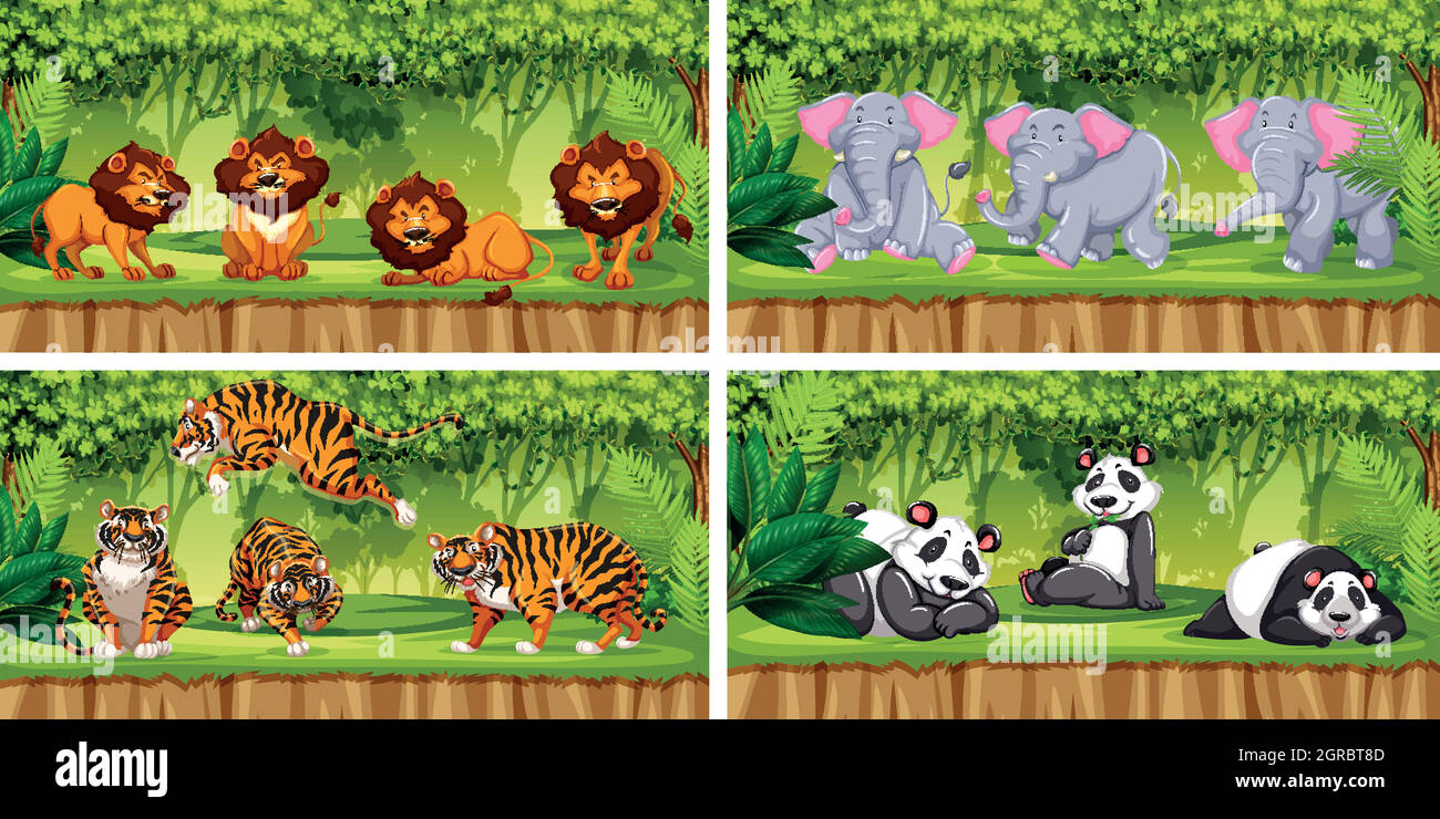 Set ofl animal in jungle Stock Vector Image & Art - Alamy