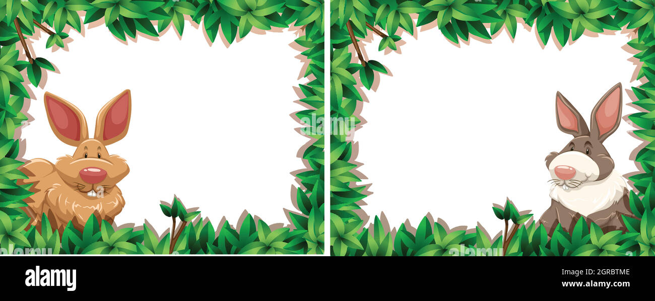 Rabbit on nature frame Stock Vector Image & Art Alamy