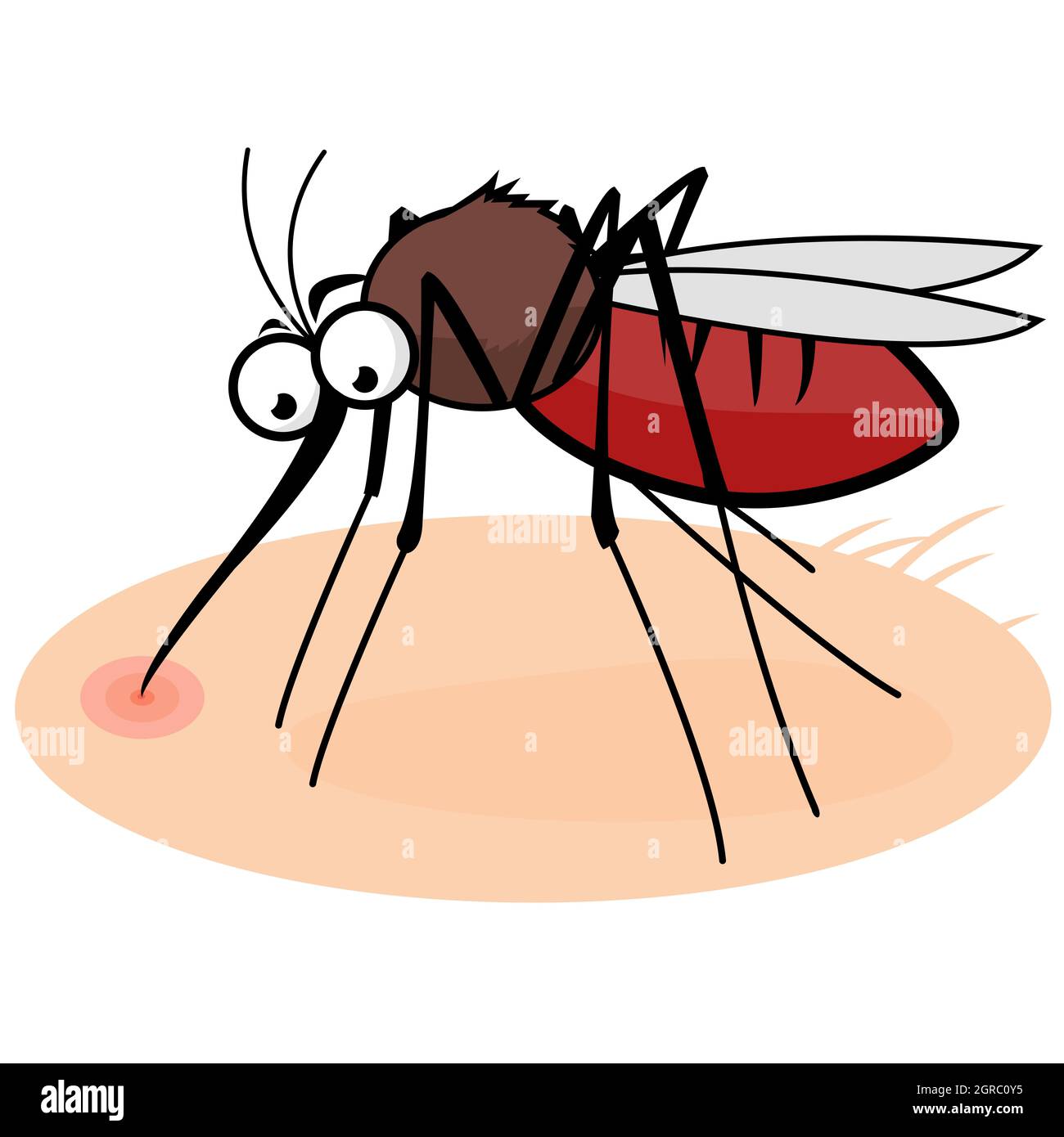 Cartoon mosquito sucking blood. Stock Photo