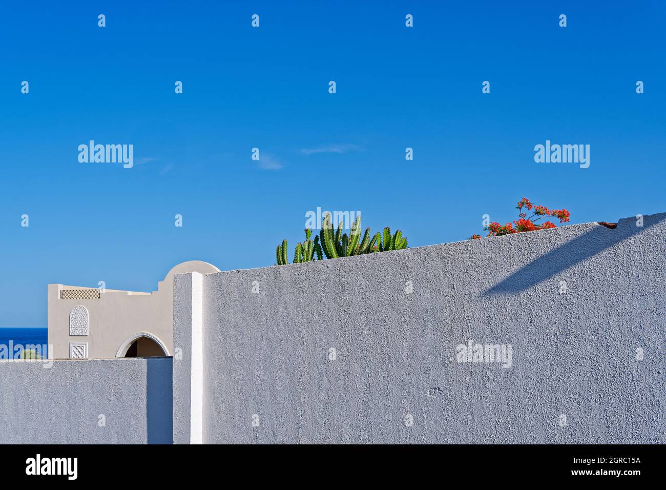 A Tall Cactus, A Flowering Tree, The Building Is Behind A White Textured Stone Wall Near The Sea. Stock Photo