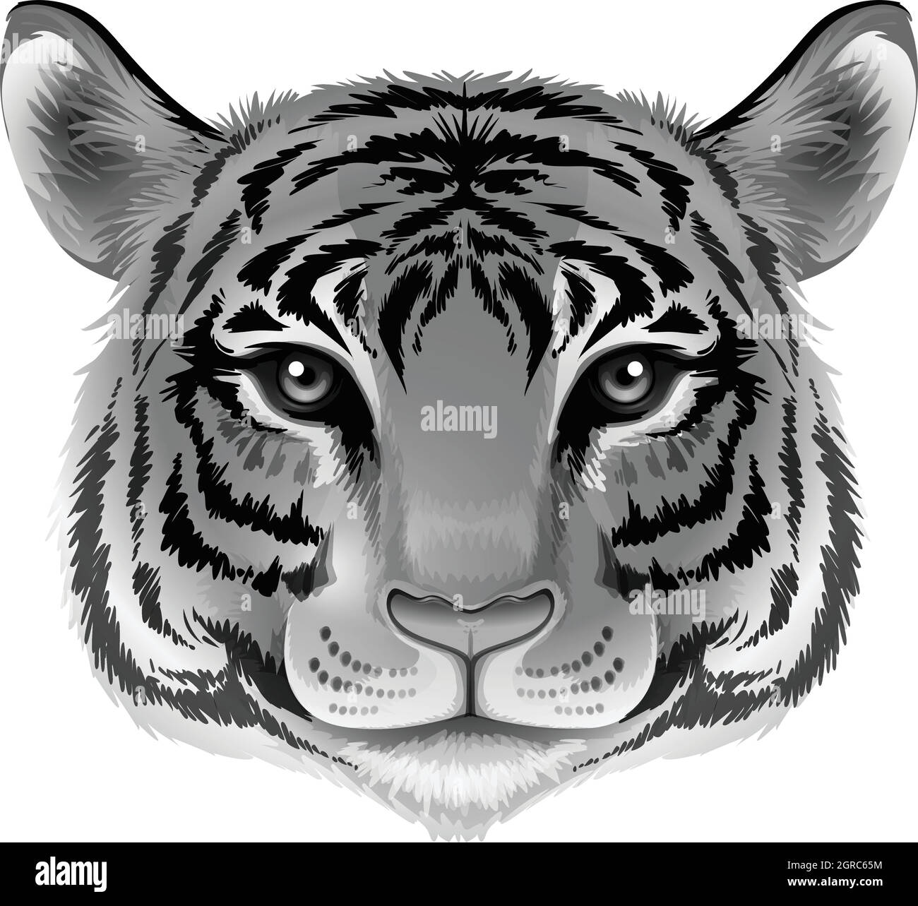 A head of Black and White Stock Photos Images Alamy