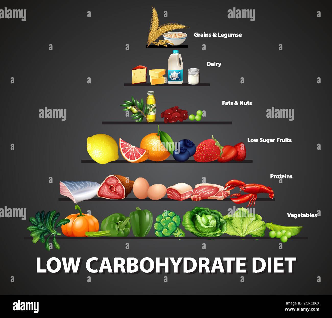 Low carbohydrate diet diagram stock vector image art alamy