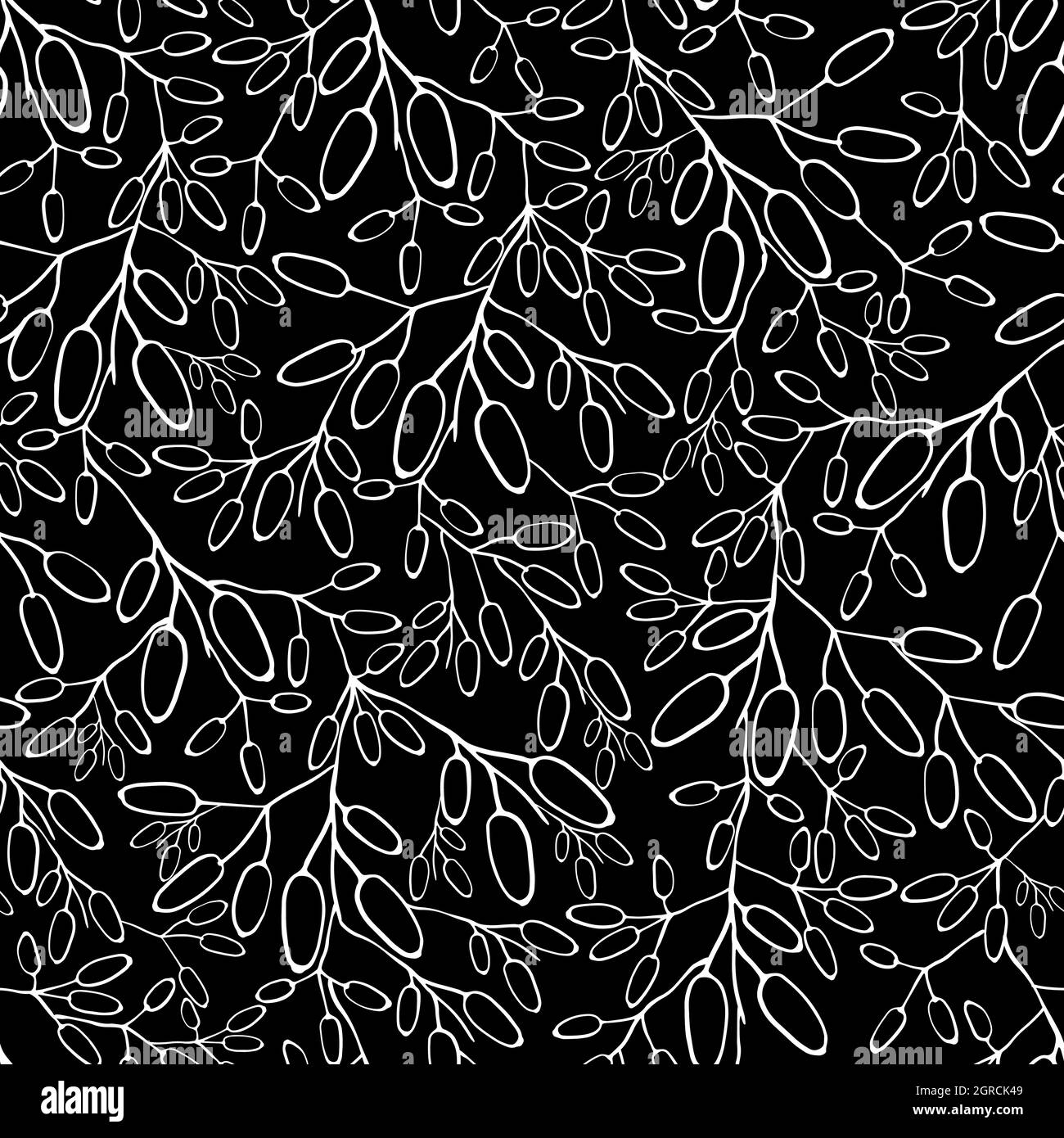 Barberry seamless pattern. Hand drawn berry background Stock Vector ...