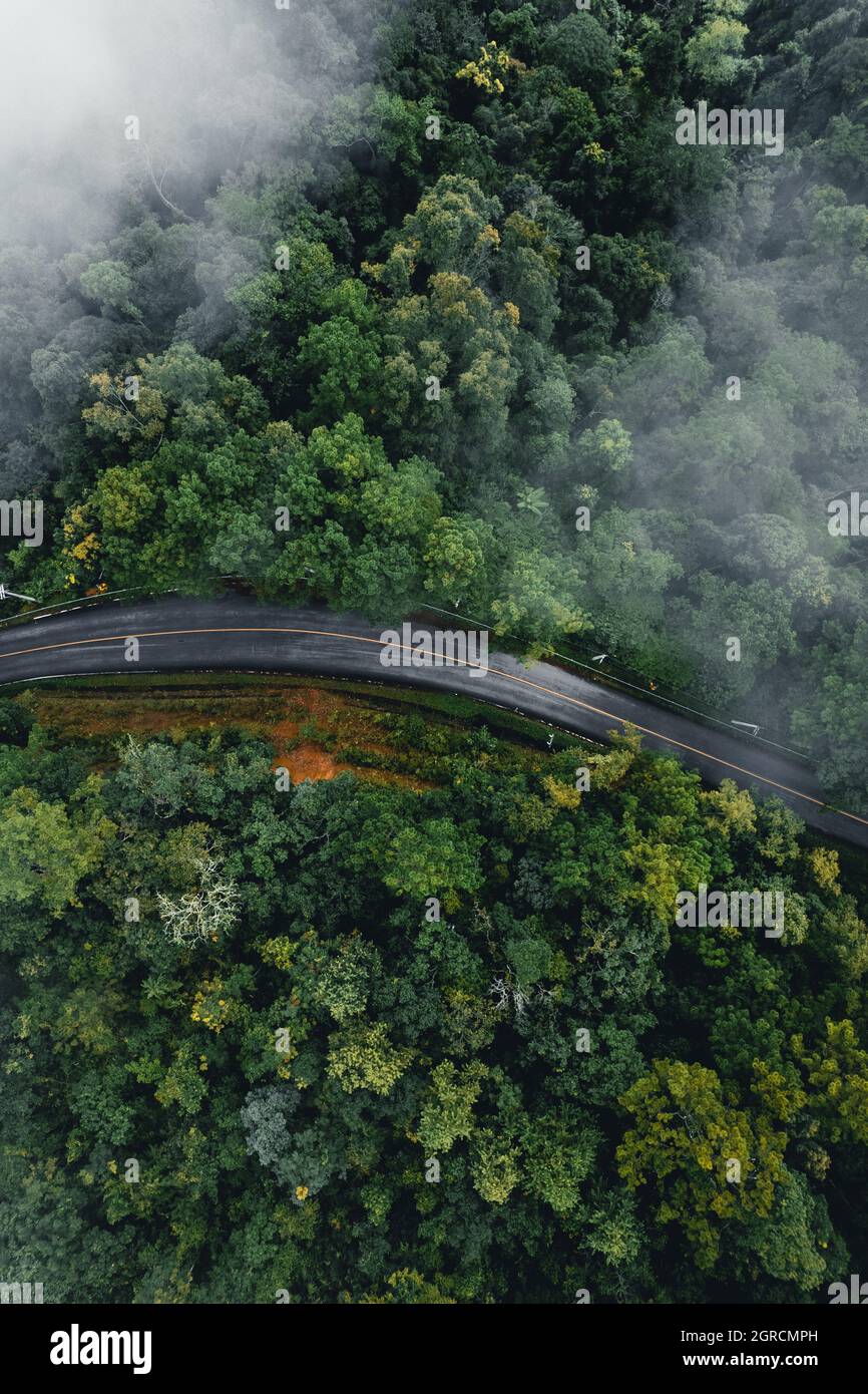 Rainforest animals aerial hi-res stock photography and images - Alamy