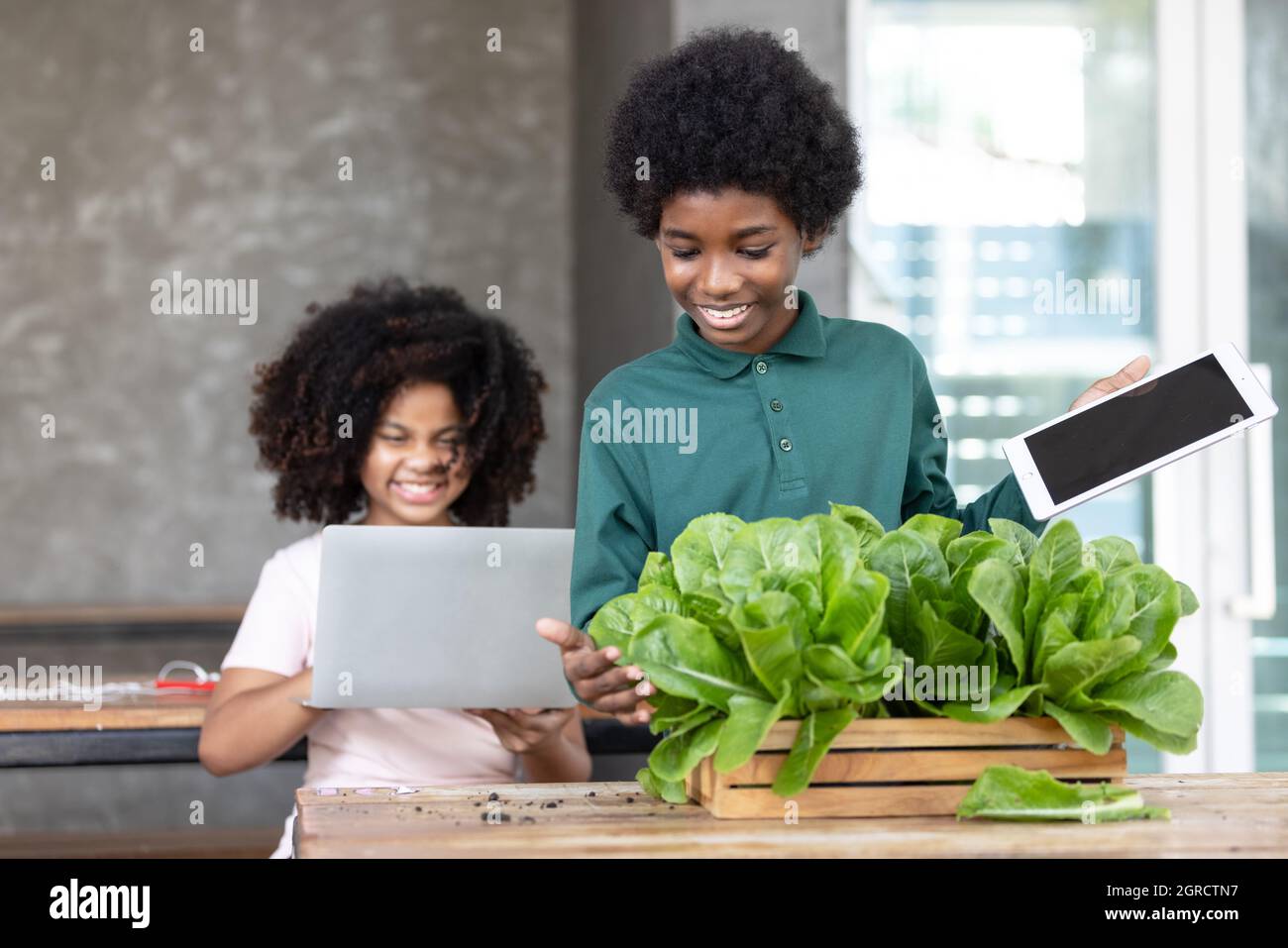 Afro Children Curly Hair Style With Planting Plant Pot To Fan Channel, Record Home Video Stock Photo - Alamy Afro Children Curly Hair Style With Planting Plant Pot To Fan Channel, Record Home Video Stock Photo - Alamy