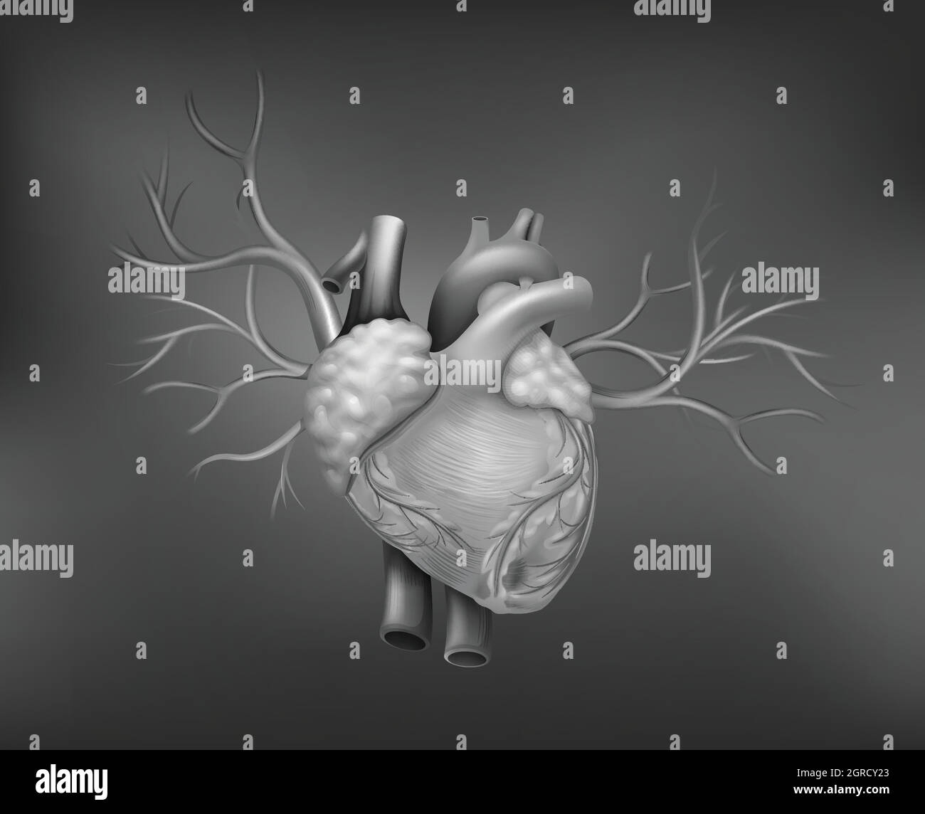 A human heart Stock Vector