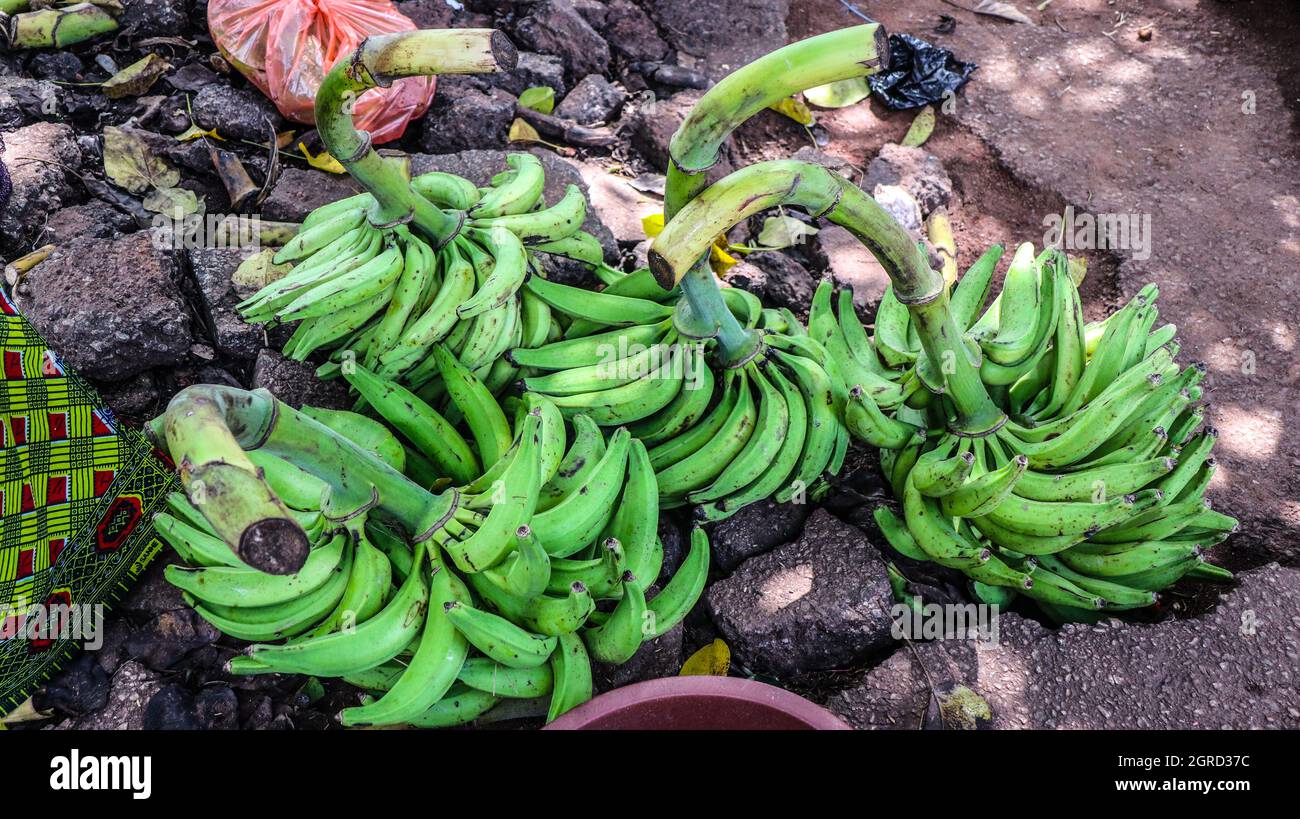 Banana Market Ivory Coast Stock Photo Alamy