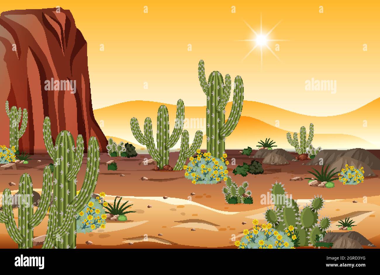 Desert forest landscape at sunset time scene with many cactuses ...