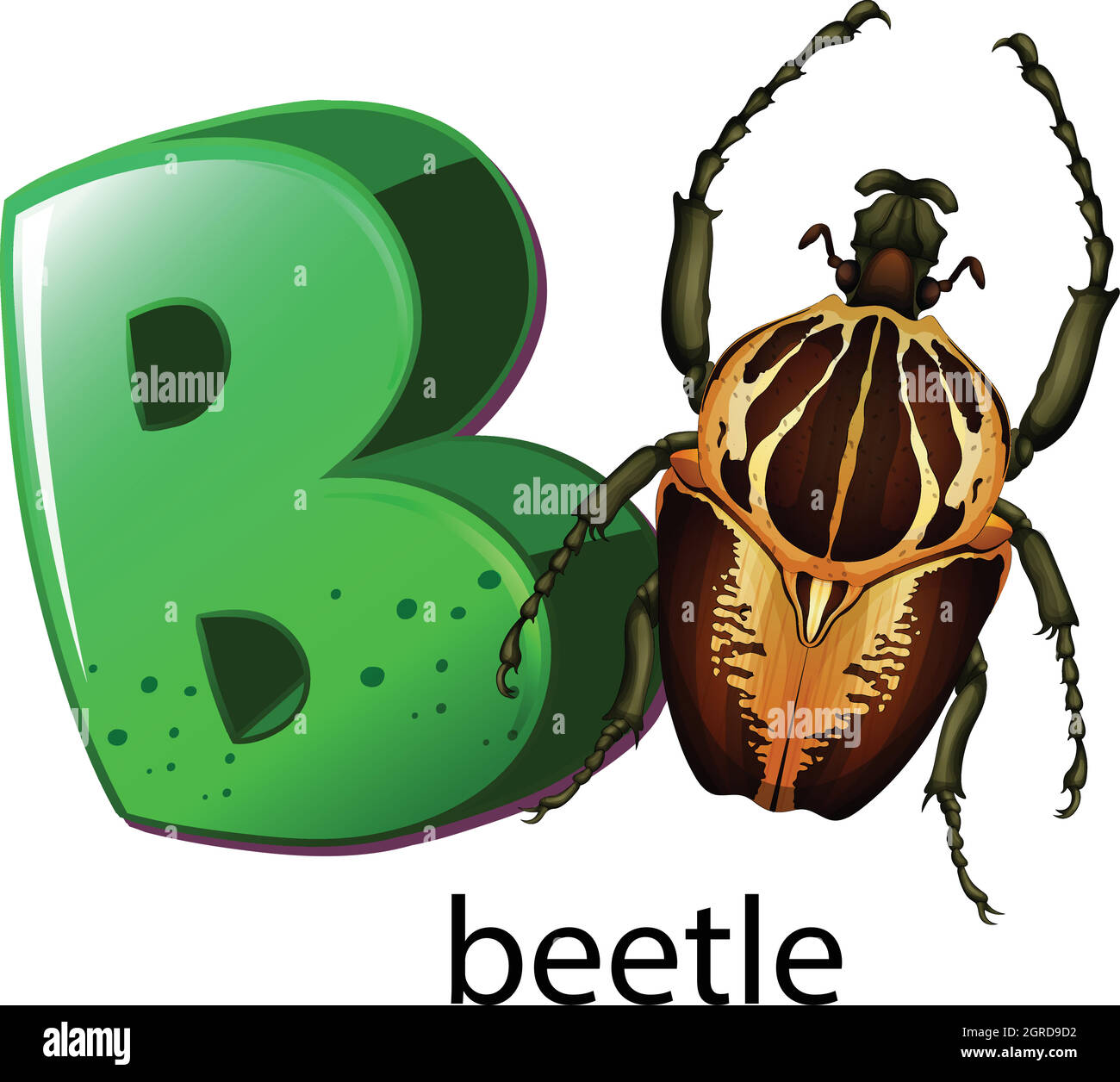 A letter B for beetle Stock Vector