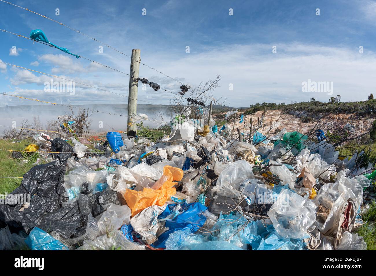 Plastic bags blown out of a landfill site at Grahamstown/Makhanda, South Africa, caught up in a