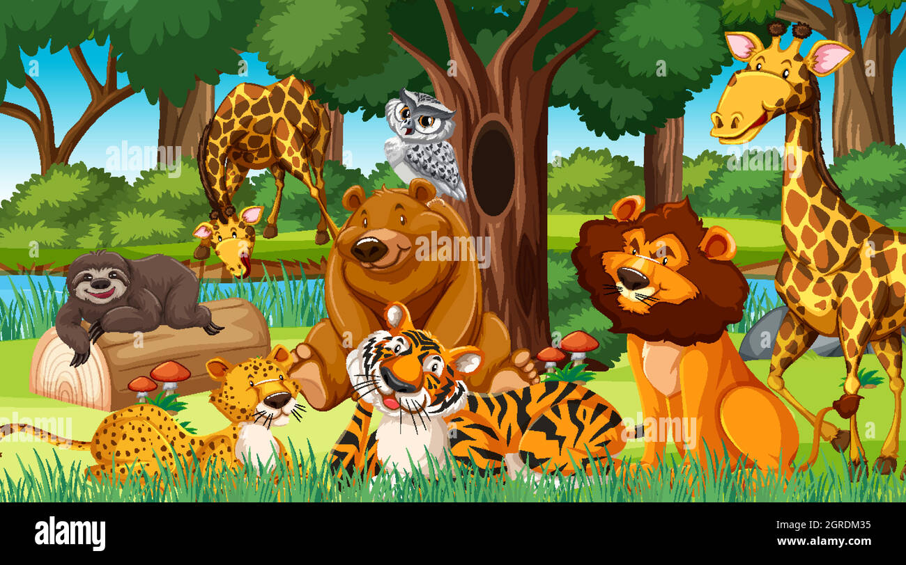 Wild animals in the jungle Stock Vector Image &amp; Art - Alamy