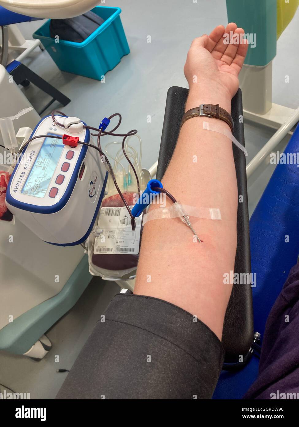 A blood donor gives blood in an NHS blood donation centre with needle in the arm and blood visible in plastic tubing. West End NHS Blood Donor Centre. Stock Photo