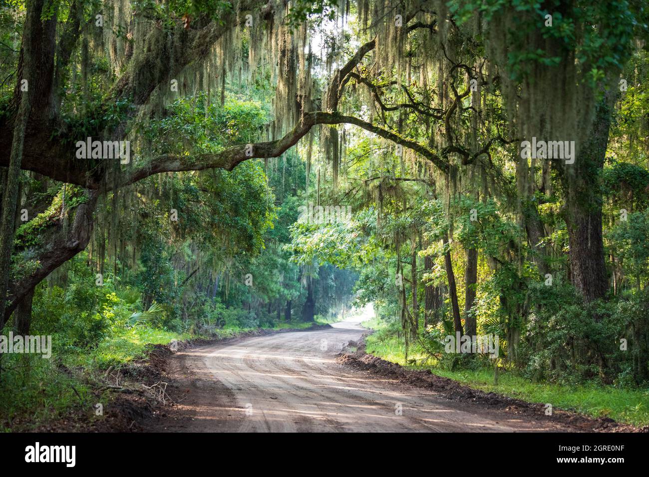 Daufuskie island hires stock photography and images Alamy